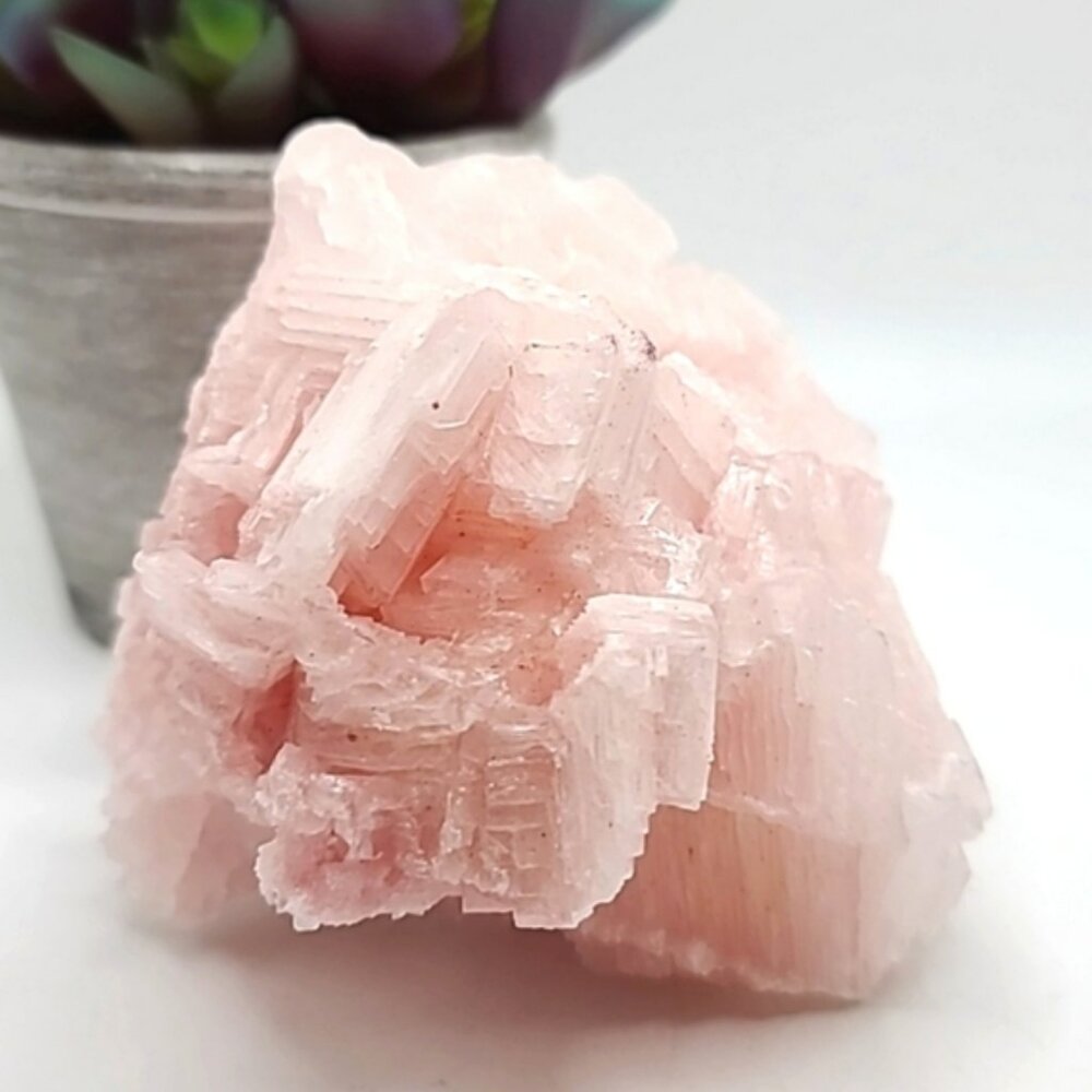 CLEARANCE Large Cotton Candy California Pink Halite Crystal Cluster H - Picture 3 of 5